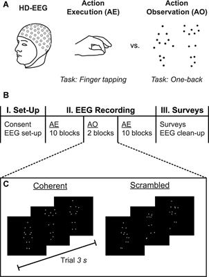 Peak frequency of the sensorimotor mu rhythm varies with autism-spectrum traits